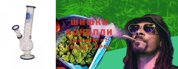 mix Богородицк