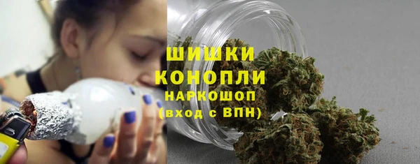 гашиш Богданович