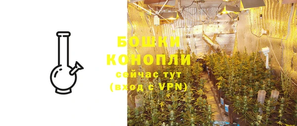 mix Богородицк