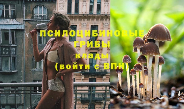 mix Богородицк