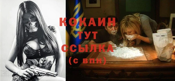 mix Богородицк