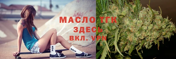 mix Богородицк